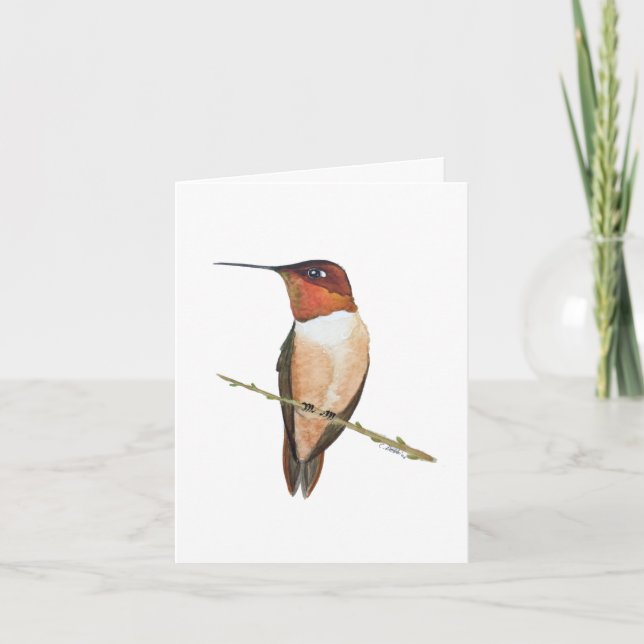 Rufous hummingbird card (Front)