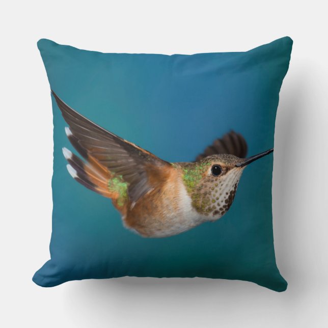 Rufous Hummingbird Cushion (Front)