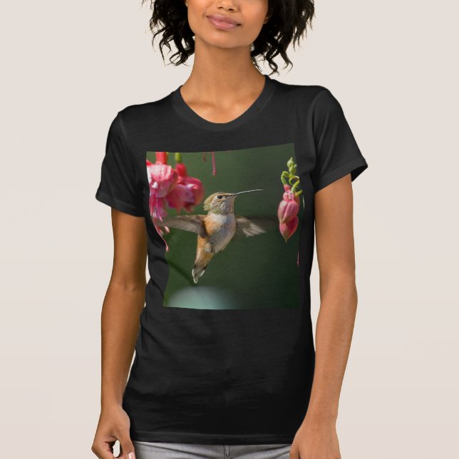 Rufous Hummingbird feeding on a Fuchsia T-Shirt (Front)
