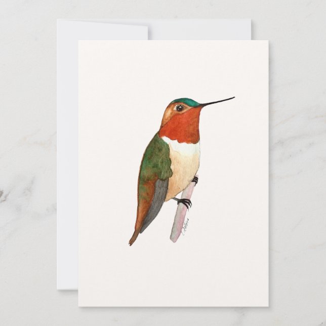 Rufous Hummingbird Flat Greeting Card (Front)