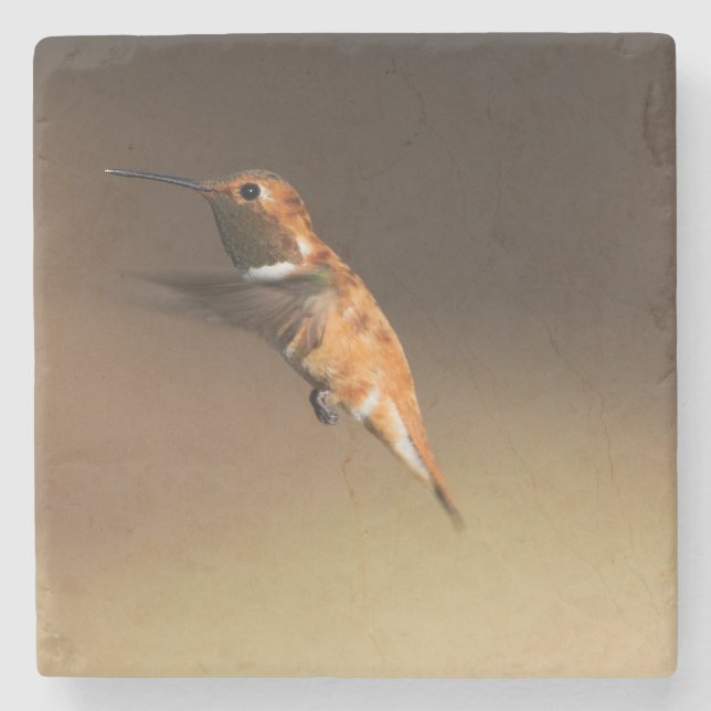 Rufous Hummingbird in flight Stone Coaster (Front)