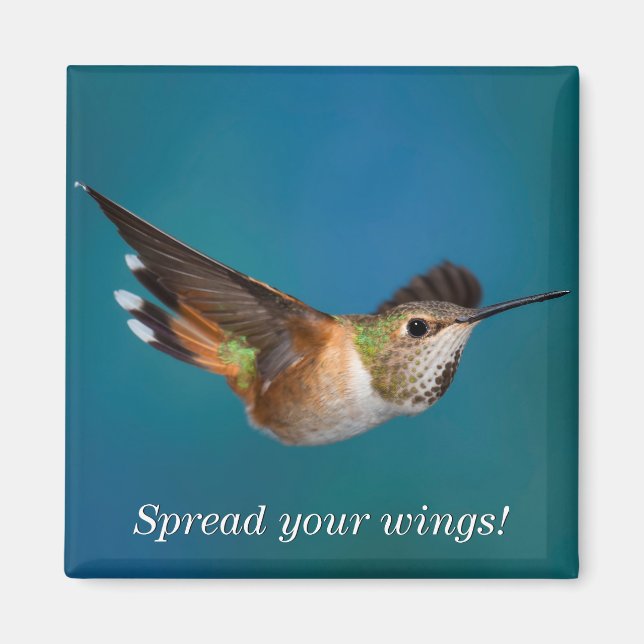 Rufous Hummingbird Magnet (Front)