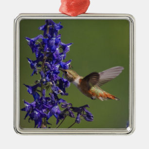 Rufous Hummingbird Metal Tree Decoration