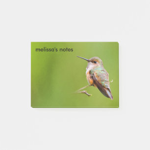 Rufous Hummingbird on California Lilac Branch Post-it Notes