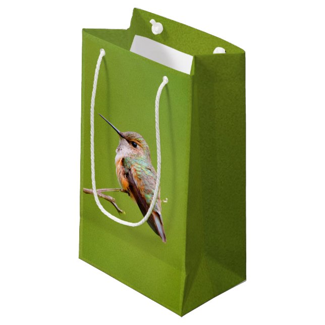 Rufous Hummingbird on California Lilac Branch Small Gift Bag (Front Angled)