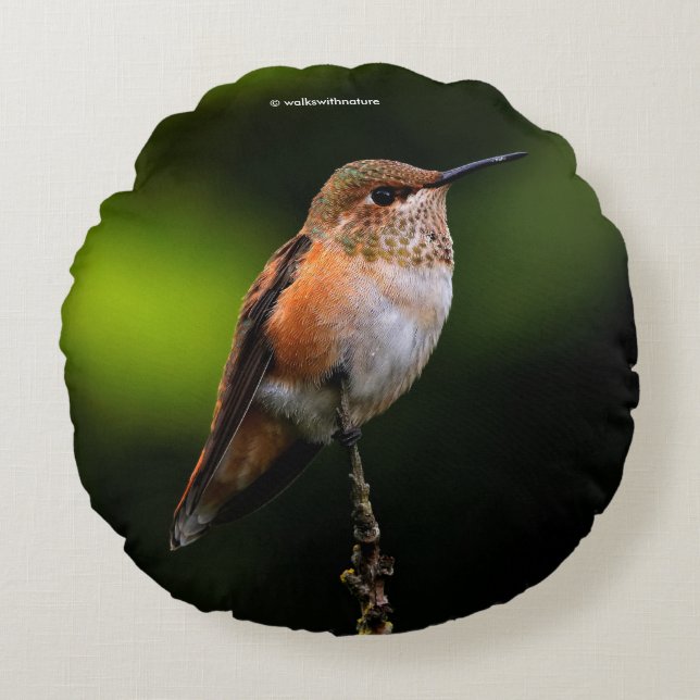 Rufous Hummingbird on the Hybrid Fruit Tree Round Cushion (Front)