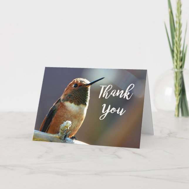 Rufous Hummingbird Photo Thank You Card (Front)