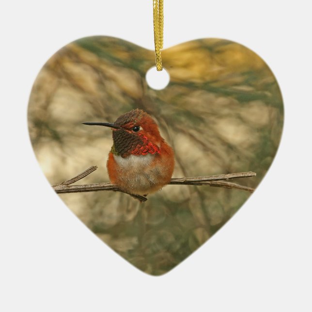 Rufous Hummingbird Sitting Ceramic Tree Decoration (Front)