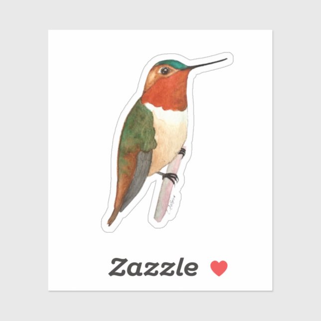 Rufous  Hummingbird  Sticker (Sheet)