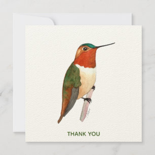 Rufous Hummingbird Thank You Card