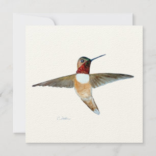 Rufous Hummingbird Thank You Card