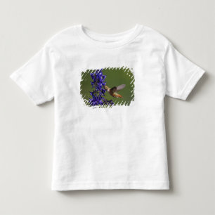 Rufous Hummingbird Toddler T-Shirt