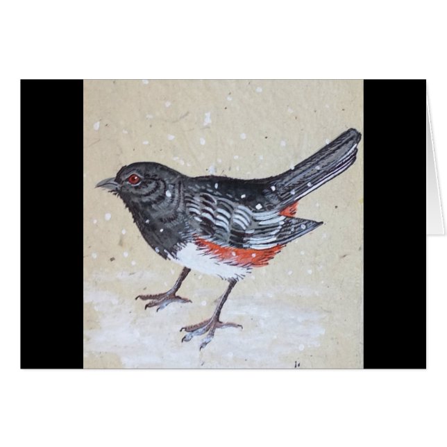 Rufus Sided Towhee (Front Horizontal)