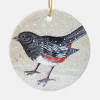Rufus Sided Towhee