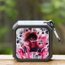 Rufy speaker