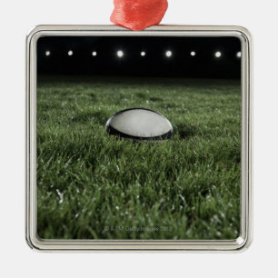 Rugby ball sitting on the grass pitch metal tree decoration