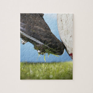 Rugby player kicking ball off tee, close up of jigsaw puzzle