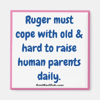 Ruger must cope with ... magnet