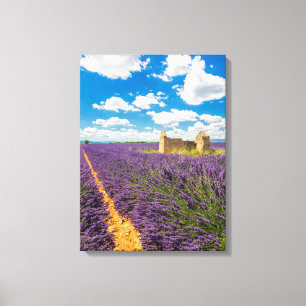 Ruin in Lavender Field, France Canvas Print