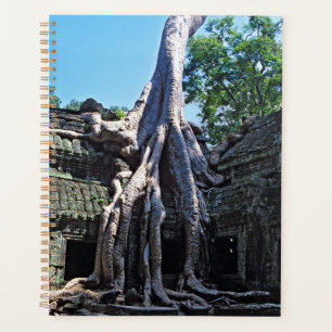 Ruin of Ta Prohm - Angkor Wat, Cambodia, Asia Planner