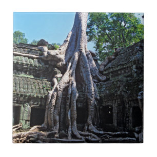 Ruin of Ta Prohm - Angkor Wat, Cambodia, Asia Tile