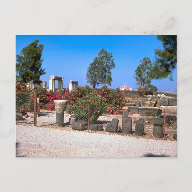 Ruins of  Capernaum, Galilee Postcard (Front)