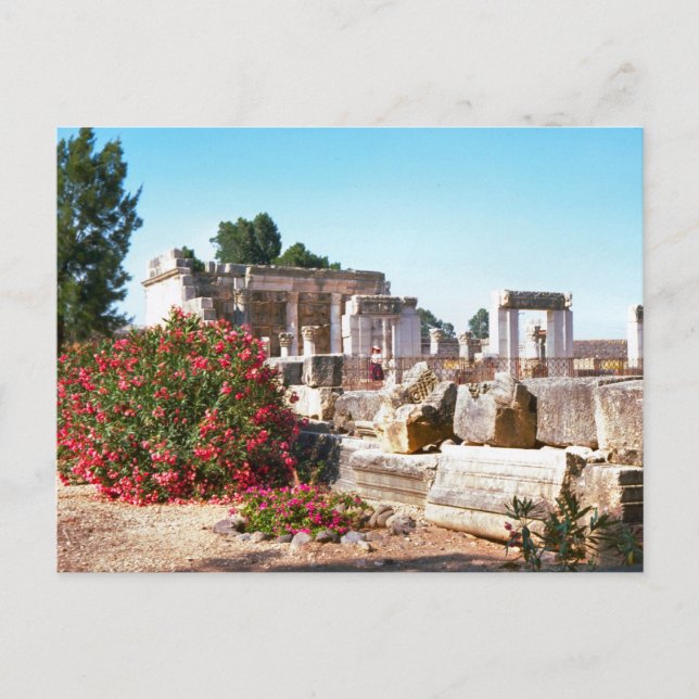 Ruins of  Capernaum, Galilee Postcard (Front)