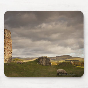Ruins Of Cessford Castle With Sheep Grazing Mouse Pad