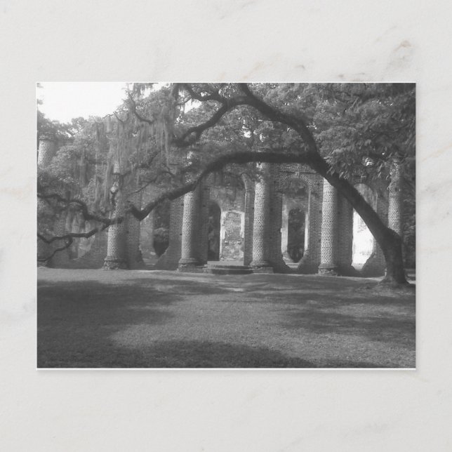 Ruins of Old Sheldon Church in Yemassee, SC Postcard (Front)