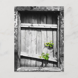 Ruins Postcard