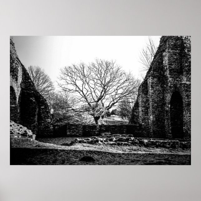 Ruins Poster (Front)