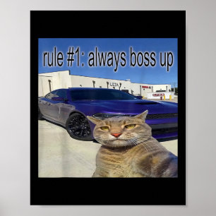 Rule 1 Always Boss Up Funny Cat Oddly Specific Dan Poster