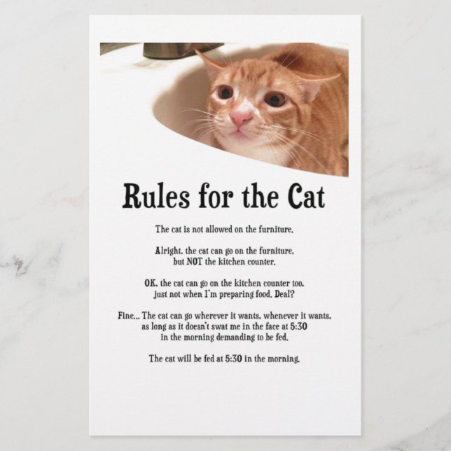Rules for Cat Stationery (Front)
