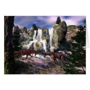 Rumble At The Falls