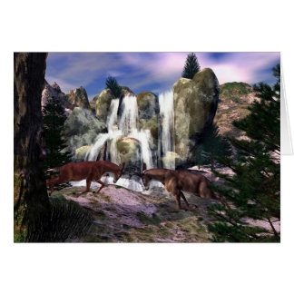 Rumble At The Falls