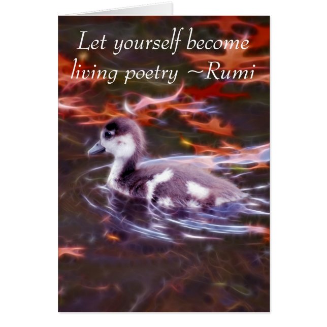 Rumi become living poetry (Front)