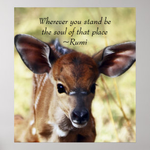 Rumi Wherever you stand Poster