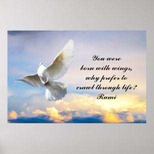 Rumi You were born with wings Poster