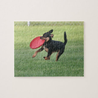 Run Jigsaw Puzzle