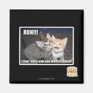 RUN!!! MAGNET