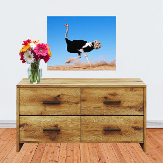 Run Ostrich Run 20x16 Photo Print