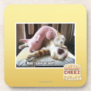 Run! Save ur self! Coaster