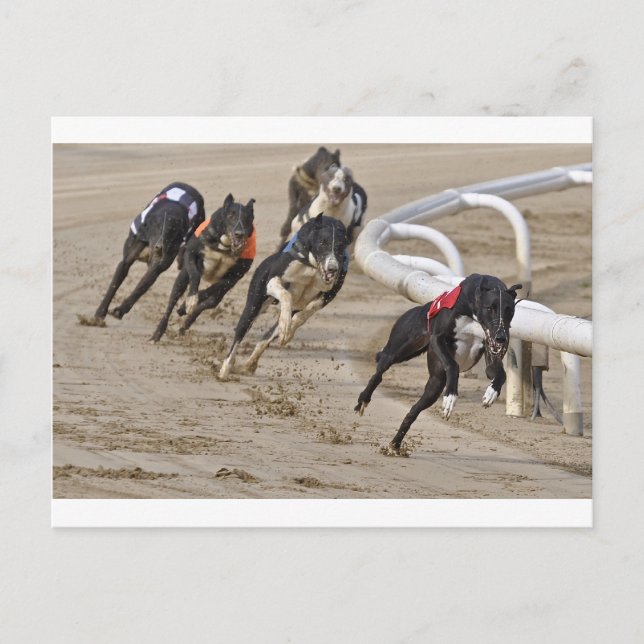 Run to the line postcard (Front)