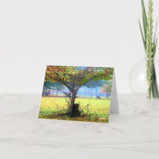 Runamuk Ranch Art  Note cards (blank inside)