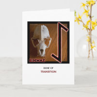 Rune Eihwaz – Transition - Skull