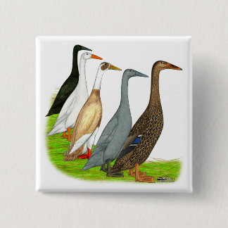 Runner Duck Assortment 15 Cm Square Badge