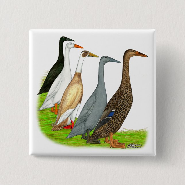Runner Duck Assortment 15 Cm Square Badge (Front)