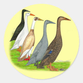 Runner Duck Assortment Classic Round Sticker