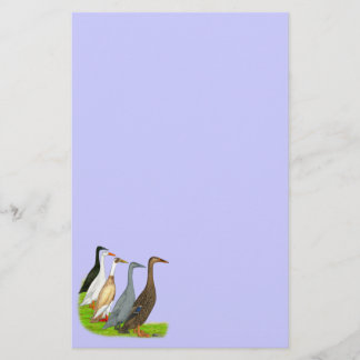 Runner Duck Assortment Stationery