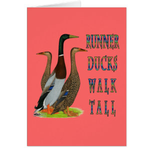 Runner Ducks Walk Tall